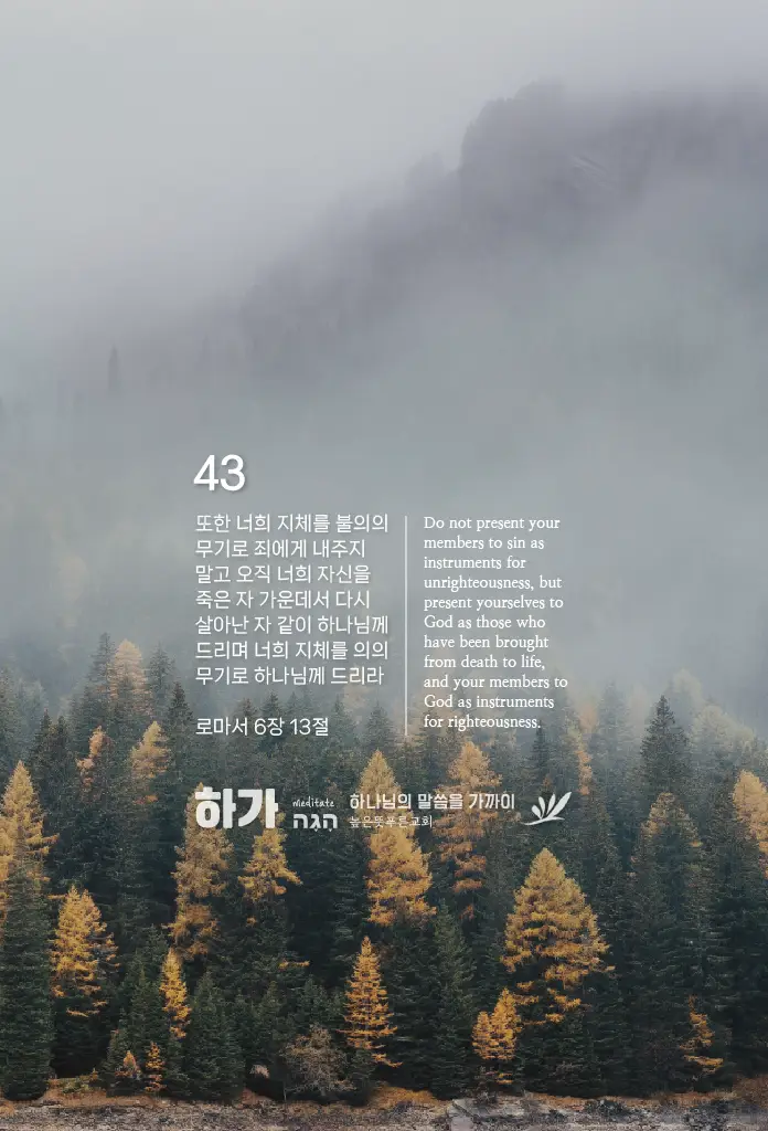 하가 이미지